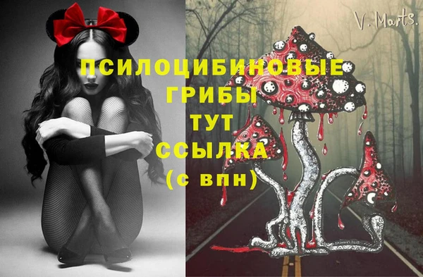 прущий лед Медногорск